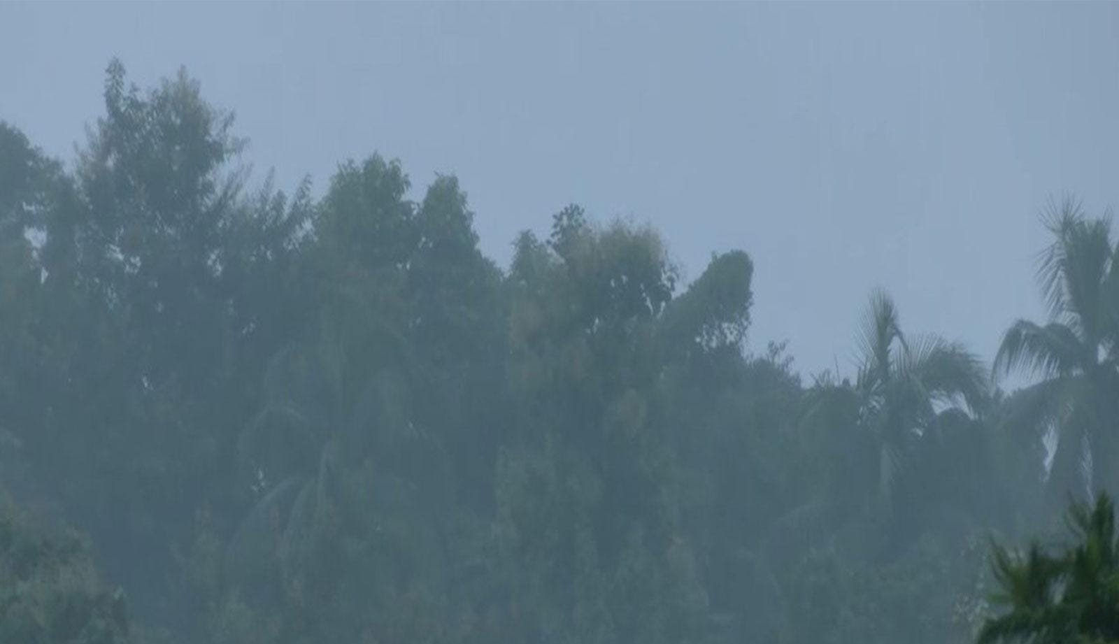 Assam Rain Alert: IMD Forecasts Heavy to Very Heavy Rainfall Till August 1 Heavy rainfall and cloudy weather conditions in Assam