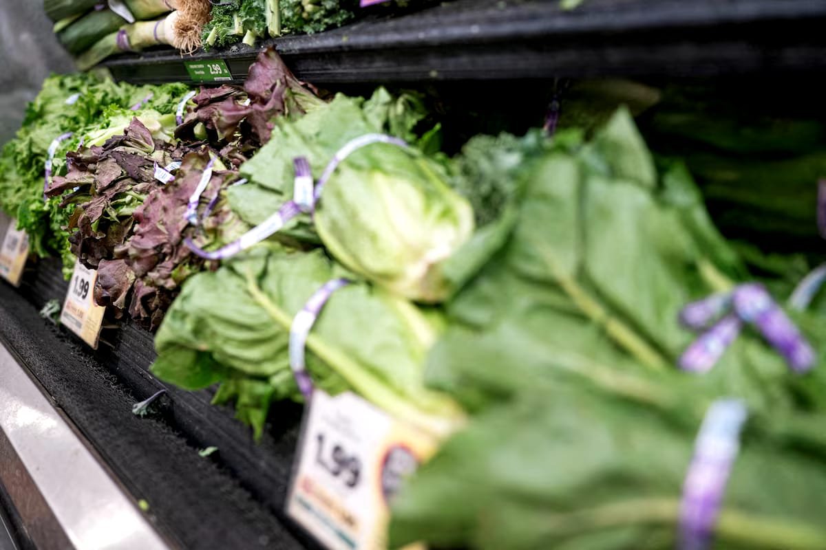 US Diners Avoid Restaurants as Cyclosporiasis Fears Hit Lettuce Sales Lettuce sales decline in US amid cyclosporiasis outbreak fears