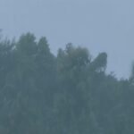 Heavy rainfall and cloudy weather conditions in Assam