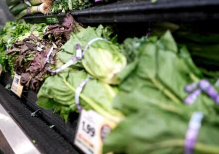 Lettuce sales decline in US amid cyclosporiasis outbreak fears