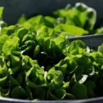 Organic lettuce displayed at a market in Falls Church, Virginia
