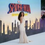 Spider-Man Brand New Day breaks Avengers Endgame box office opening weekend record with Tom Holland.