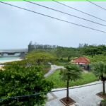 Trees sway in strong winds as Typhoon Dolphin approaches Okinawa, Japan