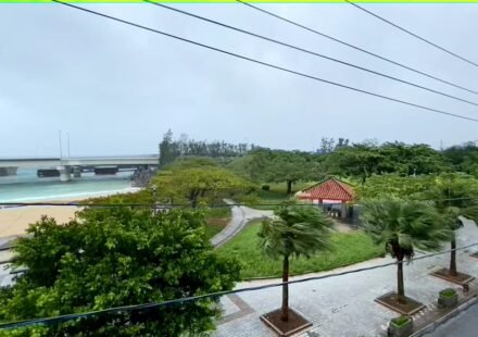 Trees sway in strong winds as Typhoon Dolphin approaches Okinawa, Japan