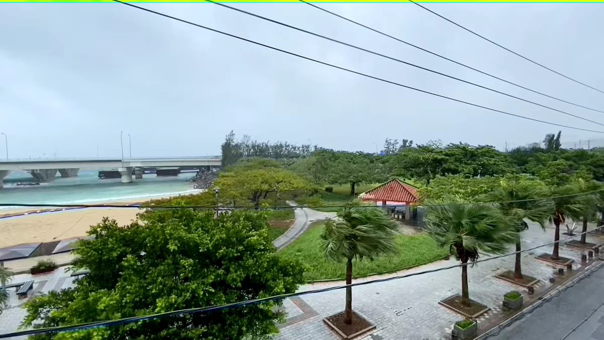 Typhoon Dolphin Hits Japan, China Shuts Ports Ahead of Landfall Trees sway in strong winds as Typhoon Dolphin approaches Okinawa, Japan
