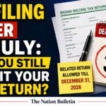A taxpayer filing an Income Tax Return online after the July 31 deadline using the Income Tax e-filing portal.
