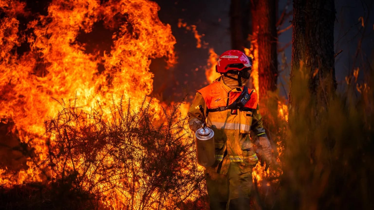 France Wildfires: Hundreds Arrested as Blame Debate Grows French firefighter works to contain a major wildfire near Saumos