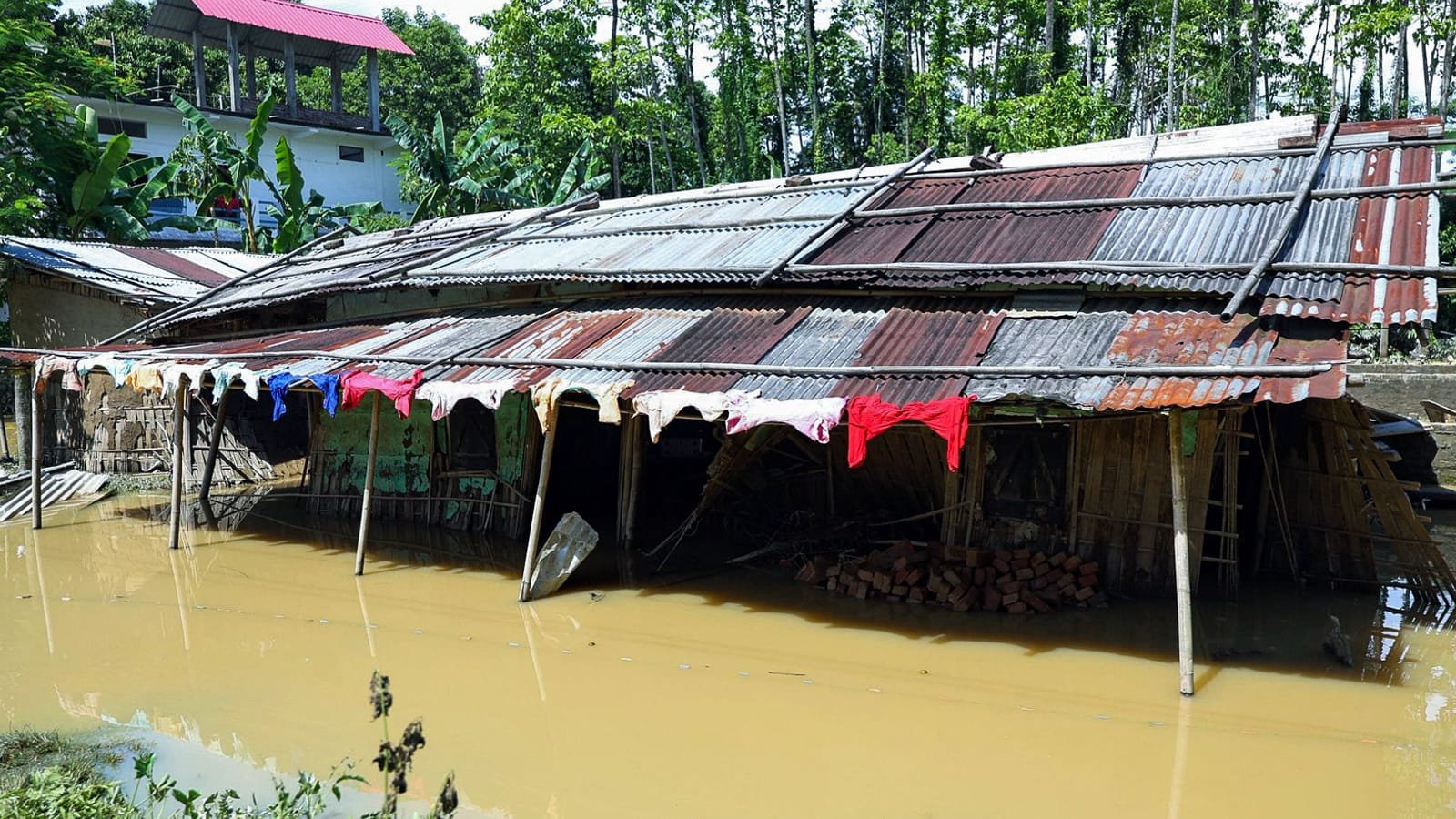 Assam floods death toll reaches 100 amid widespread devastation