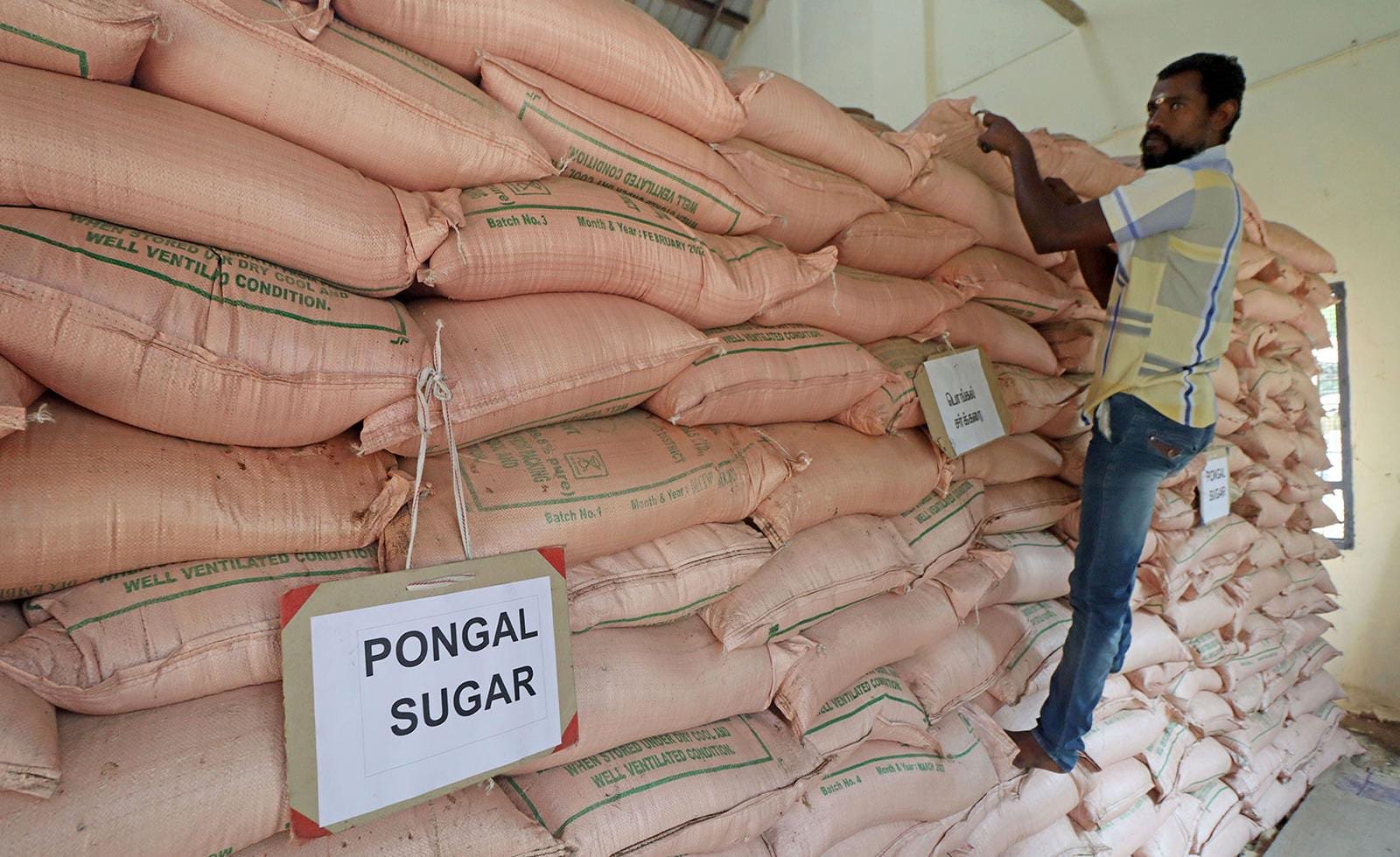 Sugar Price Rise: Centre Explains Why Prices Jumped Sugar price rise in India linked to red rot disease and El Nino